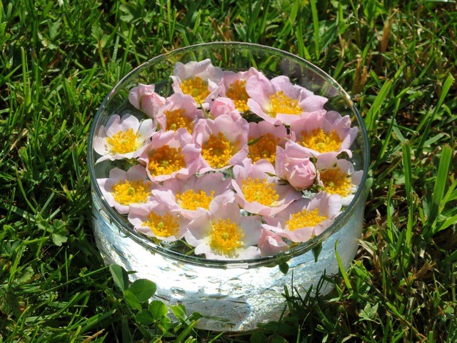 fleurs